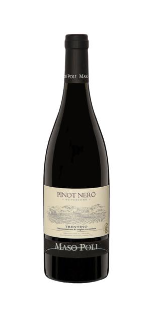 Pinot Noir Superiore Trentino DOC