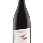 Gouguenheim Momentos del Valle Pinot Noir