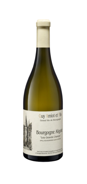 Domaine Guy Amiot Bourgogne Aligoté