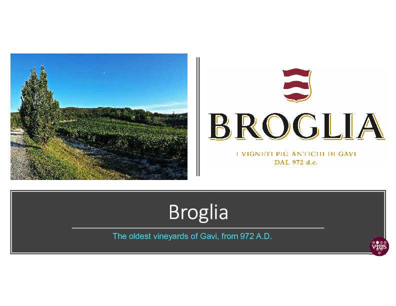 Broglia+Presentation