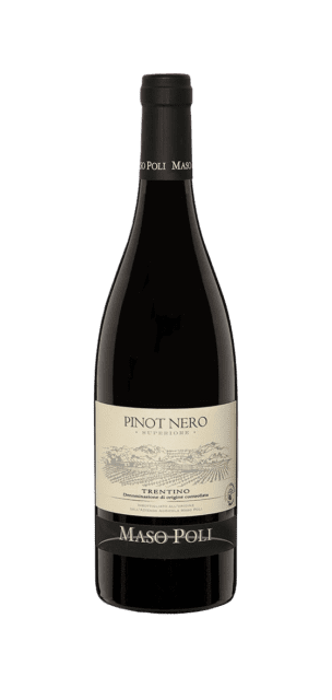Pinot Noir Superiore Trentino DOC
