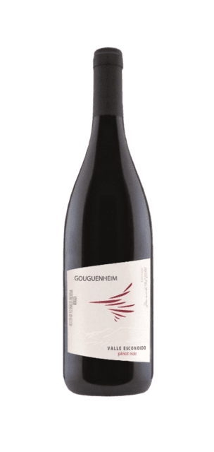 Momentos del Valle Pinot Noir