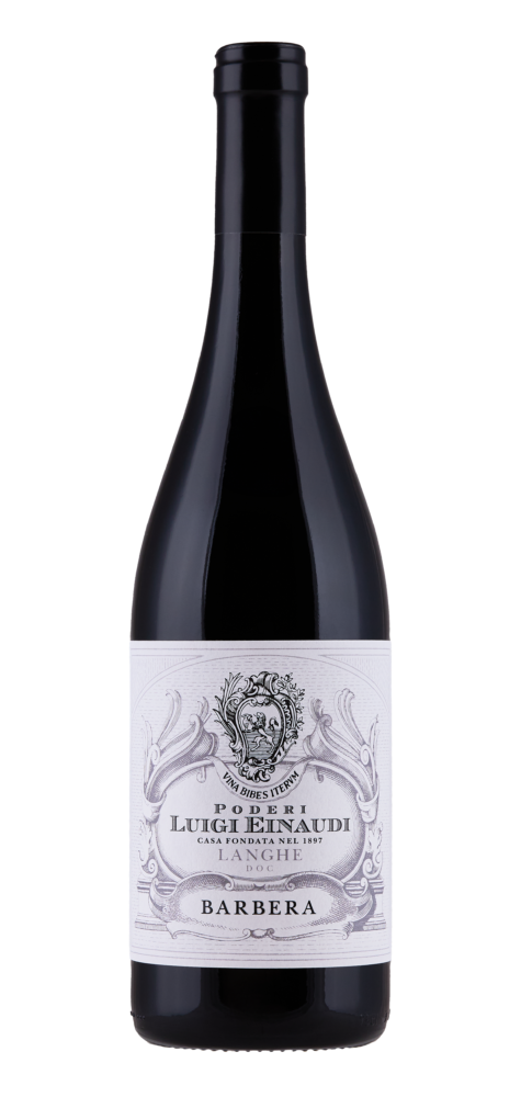 Bottle of Barbera red wine