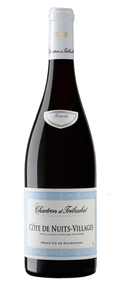 Burgundy red wine bottle with blue label