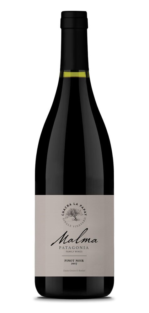 Bottle of Malma Patagonia Pinot Noir wine