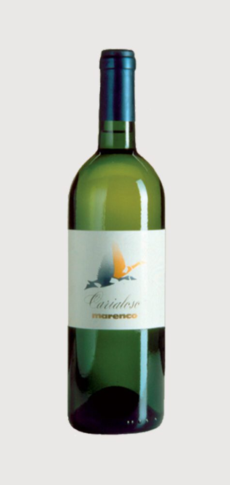 Tall green white wine bottle with blue foil