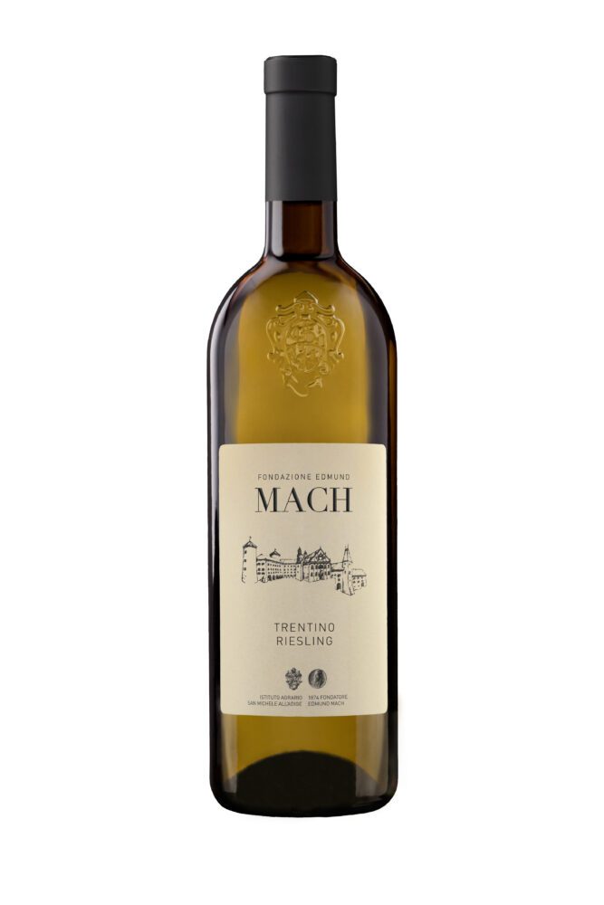 MACH Trentino white wine bottle with label