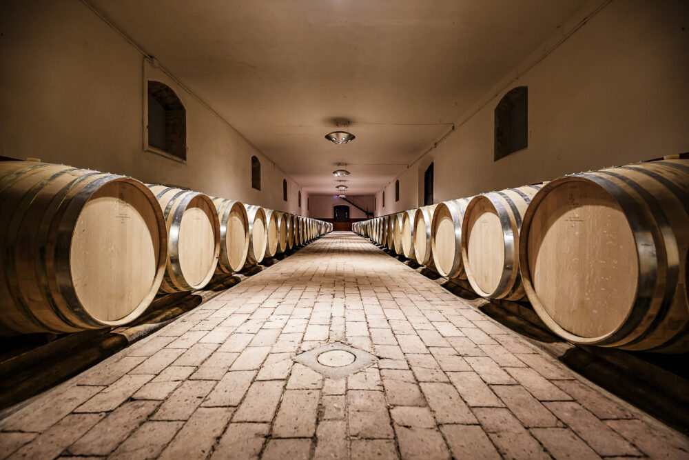Rows of wooden wine barrels in cellar