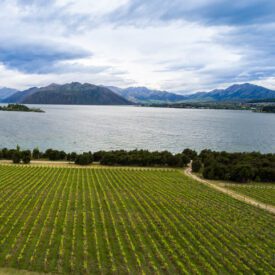 right New Zealand